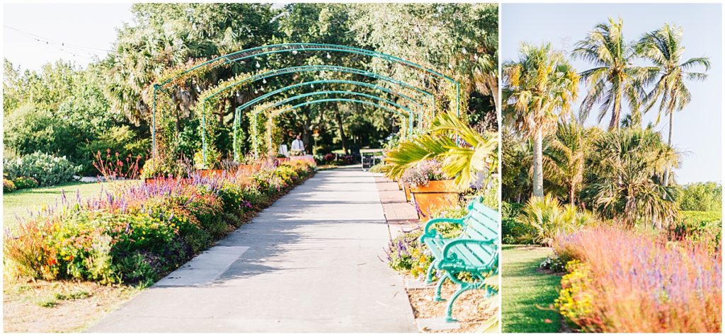 The colorful grounds at Ritz Carlton Sarasota Wedding